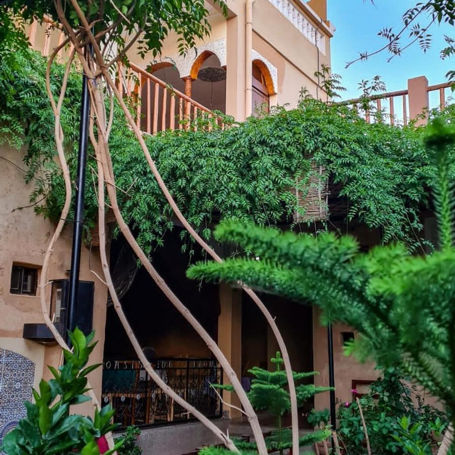 Oasis De Tiout Apartment Bagian luar foto