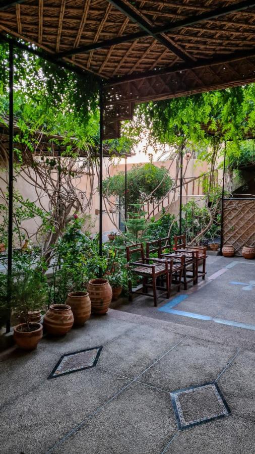 Oasis De Tiout Apartment Bagian luar foto