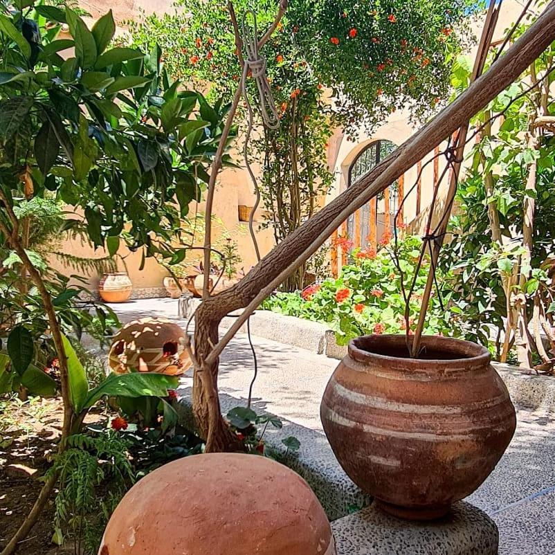 Oasis De Tiout Apartment Bagian luar foto