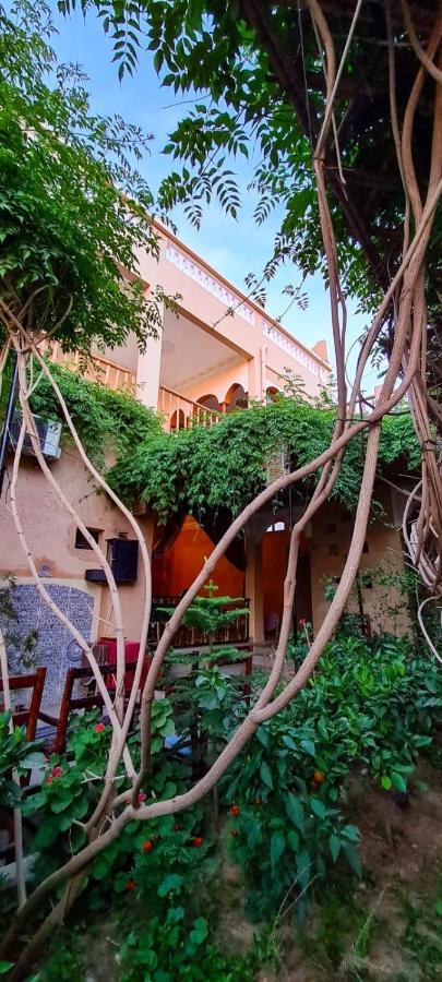 Oasis De Tiout Apartment Bagian luar foto