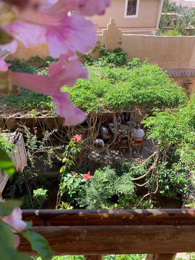 Oasis De Tiout Apartment Bagian luar foto