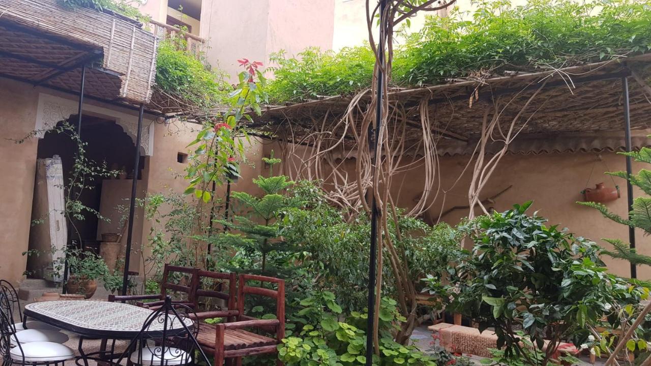 Oasis De Tiout Apartment Ruang foto