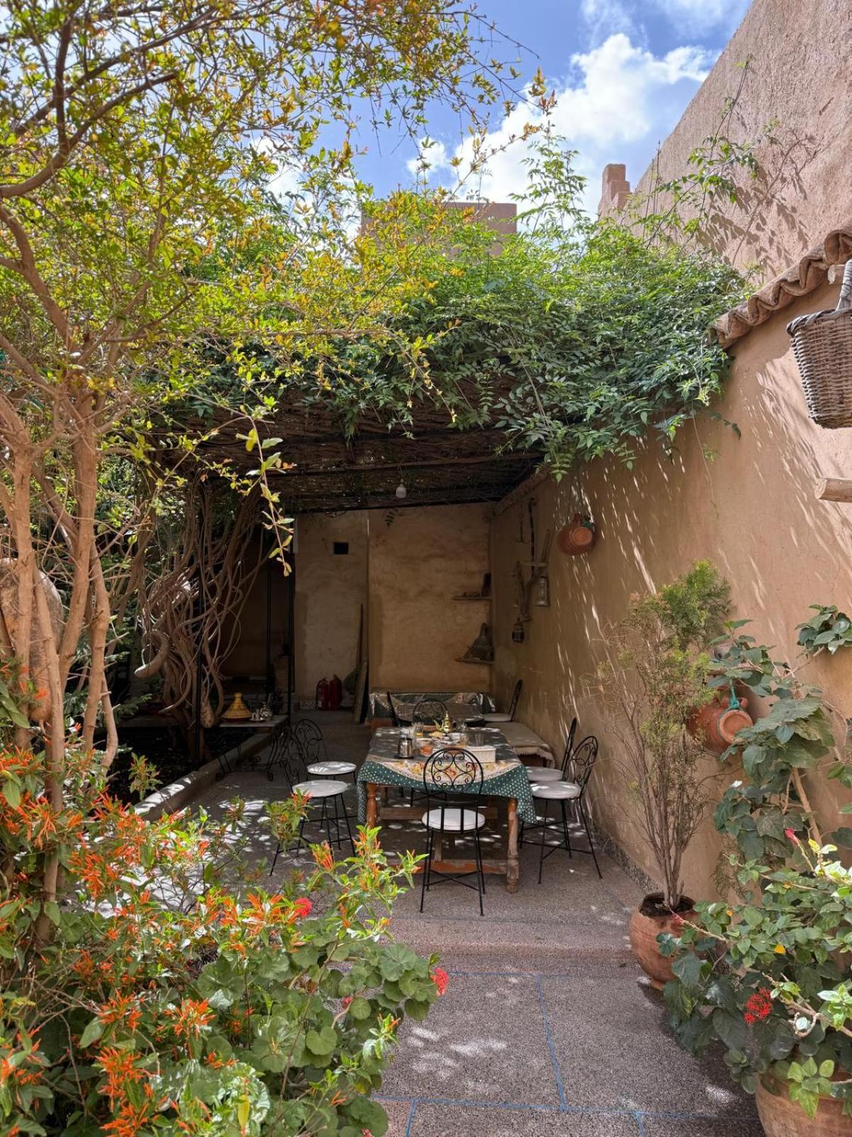 Oasis De Tiout Apartment Bagian luar foto