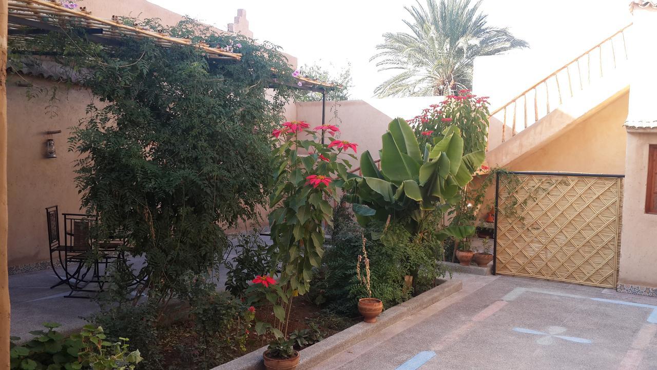 Oasis De Tiout Apartment Bagian luar foto