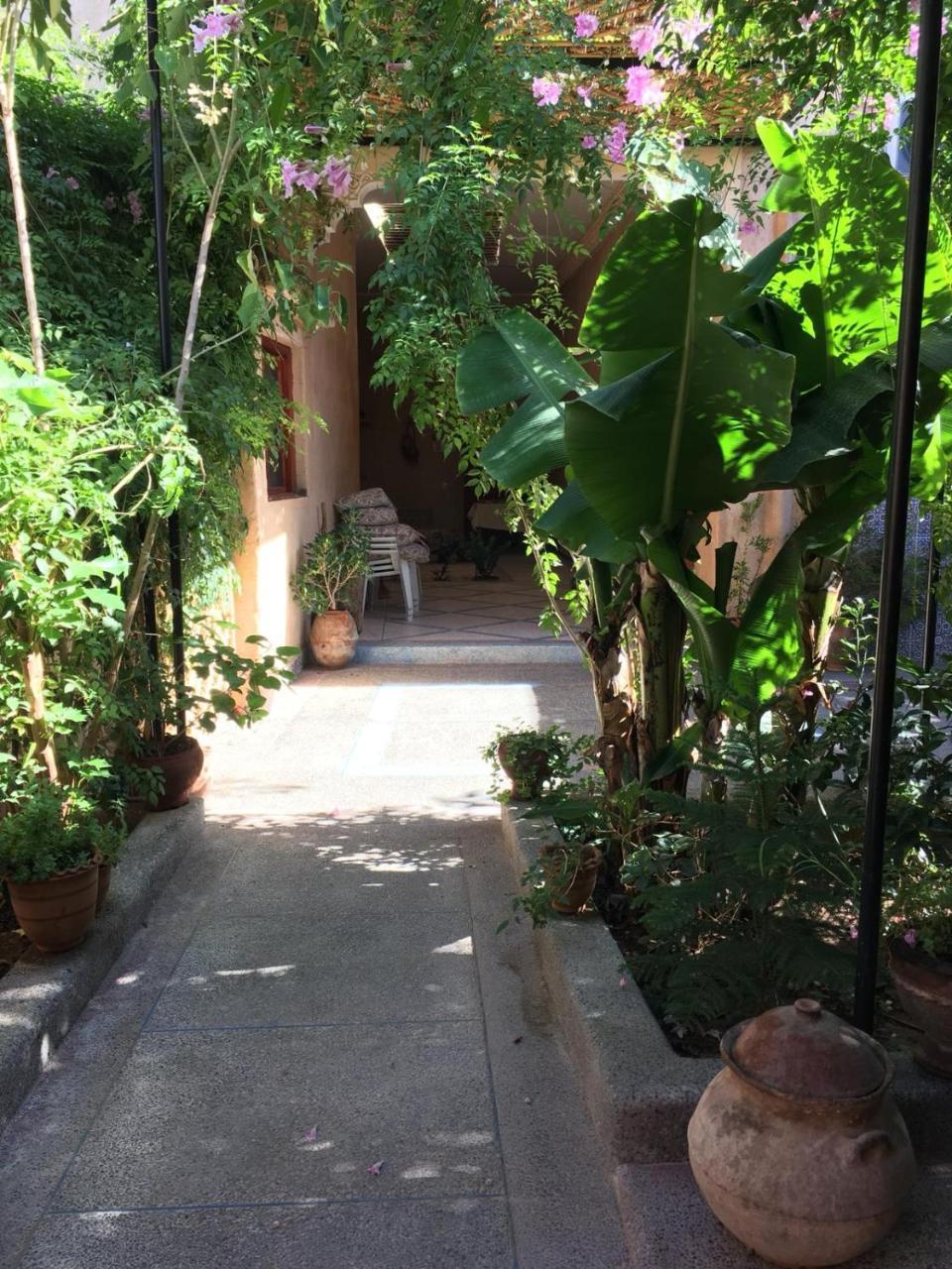 Oasis De Tiout Apartment Bagian luar foto